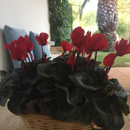 A Casa Di Maurizio