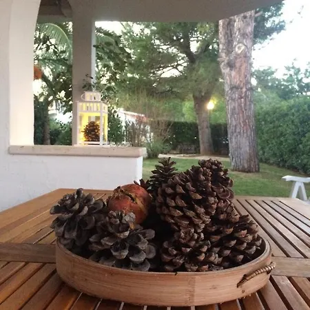 Сasa de vacaciones A Casa Di Maurizio Rosa Marina