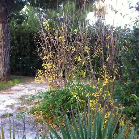 度假居 A Casa Di Maurizio *