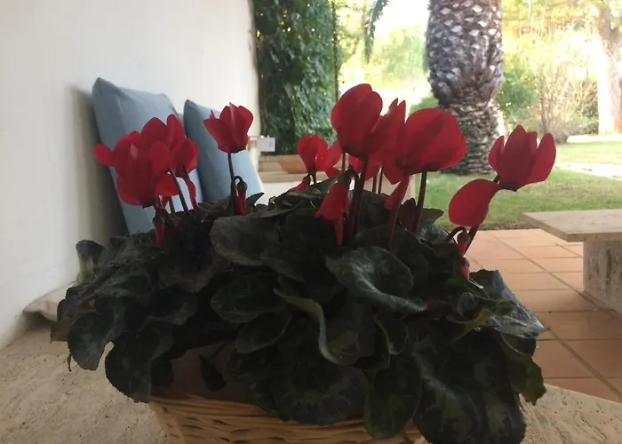 A Casa Di Maurizio